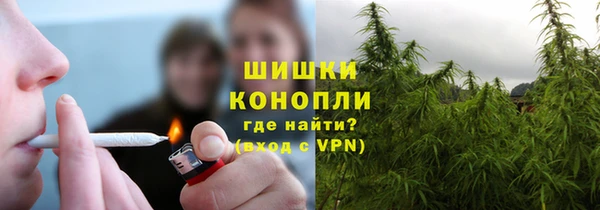 сатива Алексин